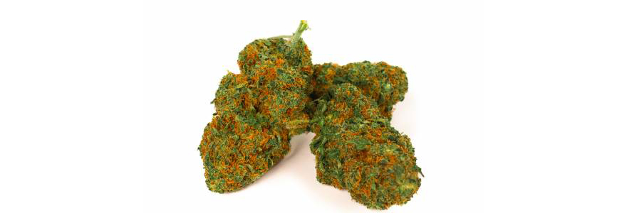 Cannabis légal premium