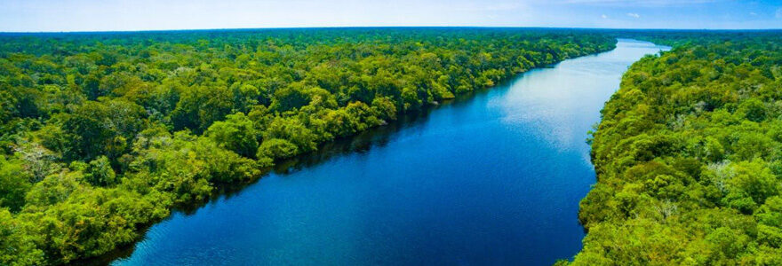 Forêt amazonienne