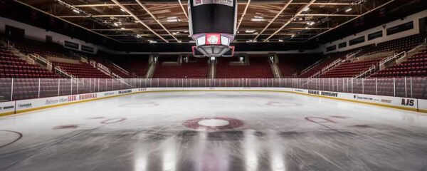 patinoire synthétique