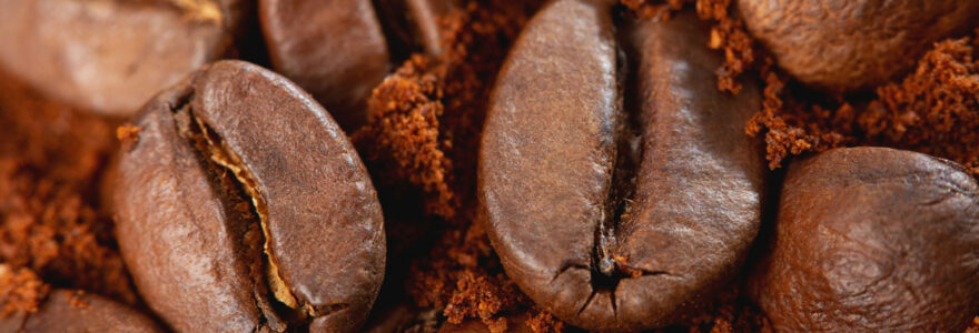 Les grains de café
