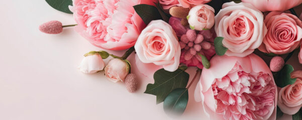 Les pivoines